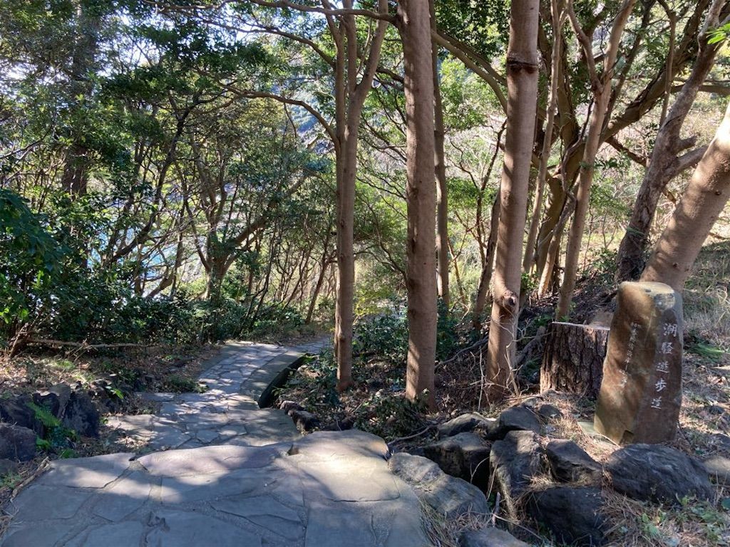 f:id:k_k_azuki:20210119210410j:image f:id:k_k_azuki:20210119210410j:image