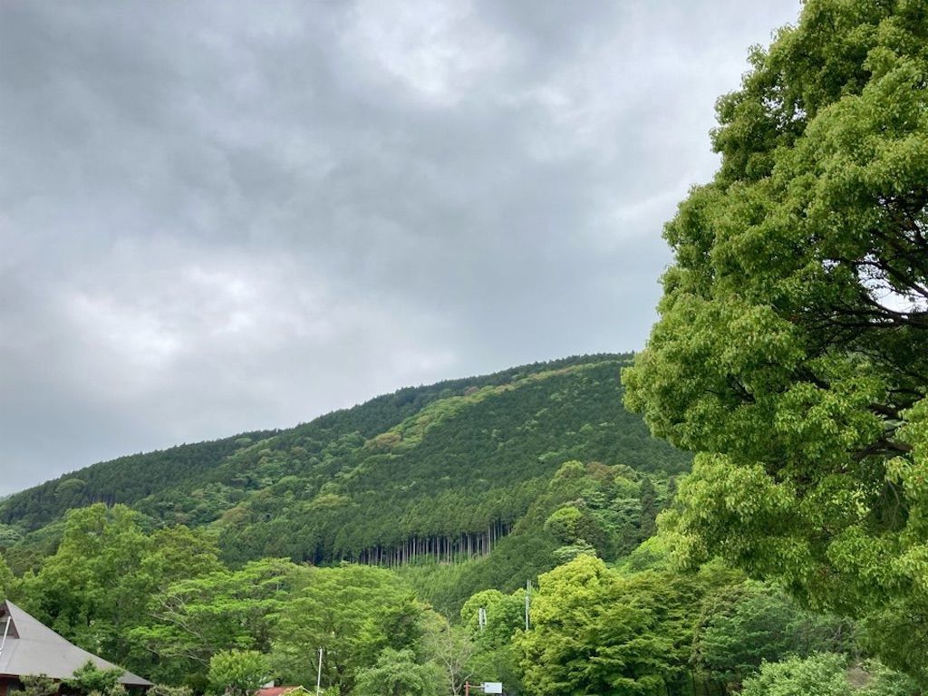 f:id:k_k_azuki:20210512103745j:image