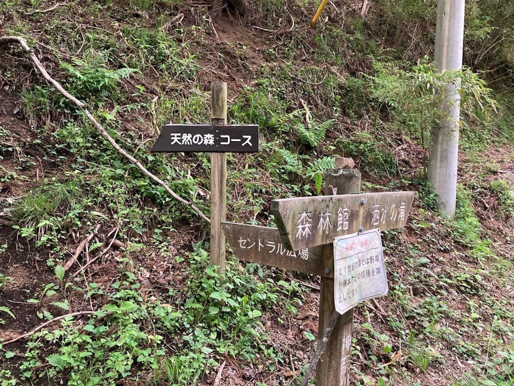 f:id:k_k_azuki:20210512103948j:image