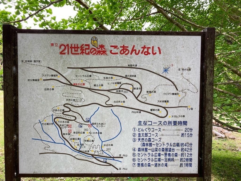 f:id:k_k_azuki:20210512103955j:image