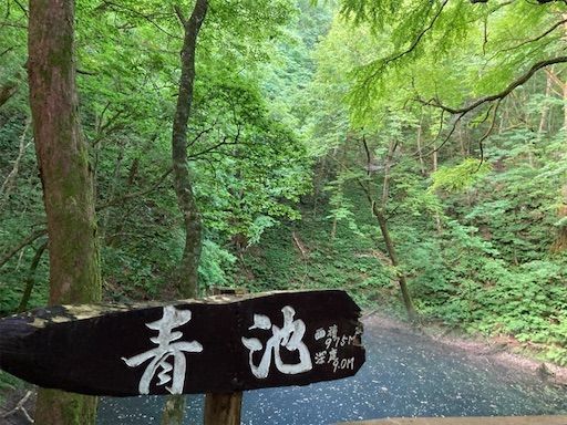 f:id:k_k_azuki:20210811135930j:plain