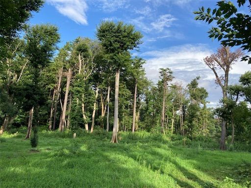 f:id:k_k_azuki:20210902210210j:image