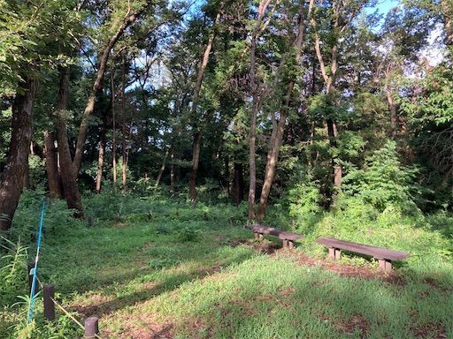 f:id:k_k_azuki:20210902210215j:image