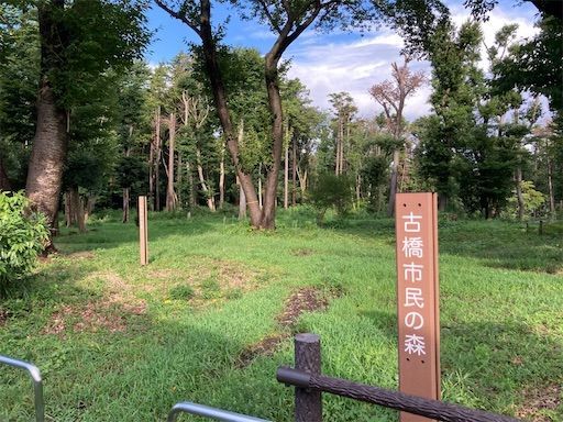 f:id:k_k_azuki:20210902210228j:image