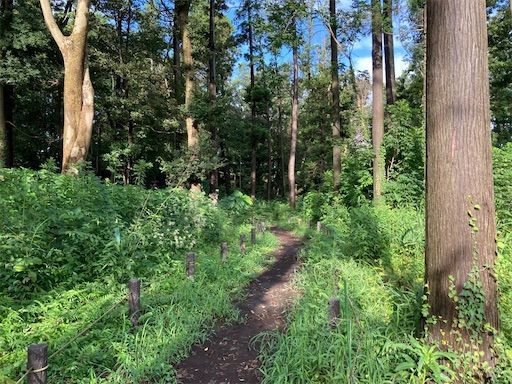 f:id:k_k_azuki:20210902210233j:image