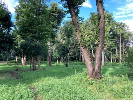 f:id:k_k_azuki:20210902210238j:image