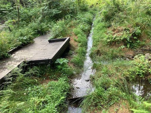 f:id:k_k_azuki:20210902210241j:image