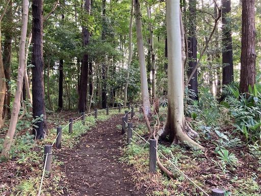 f:id:k_k_azuki:20210902210250j:image