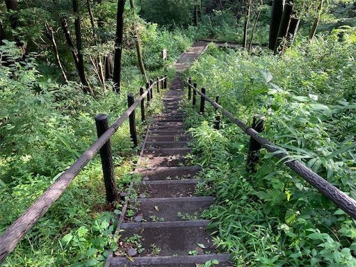 f:id:k_k_azuki:20210902210302j:image