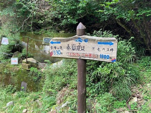 f:id:k_k_azuki:20210903091415j:image