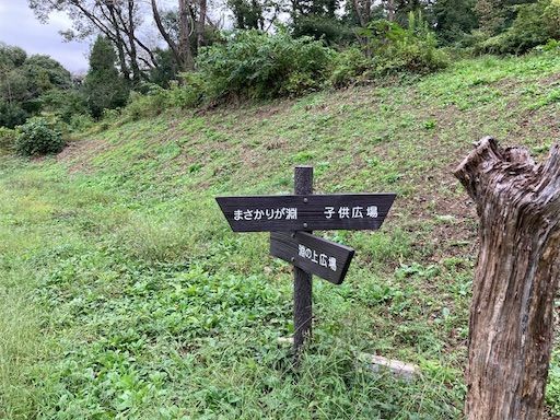 f:id:k_k_azuki:20211009065912j:image