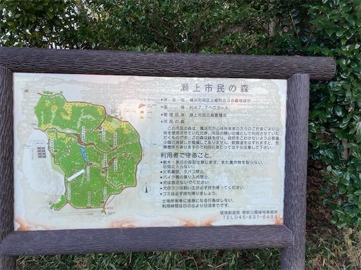 f:id:k_k_azuki:20220117205855j:image