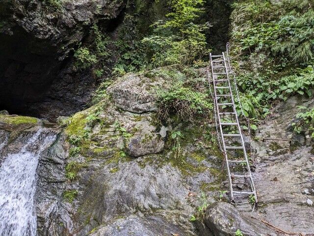 f:id:k_k_azuki:20230813085037j:image f:id:k_k_azuki:20230813085037j:image