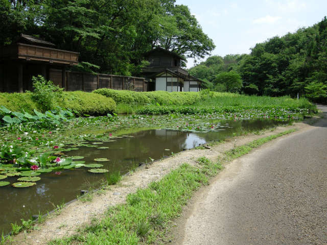 f:id:k_kane:20100719010505j:image