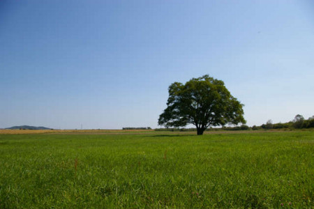 f:id:k_kane:20101005022255j:image