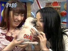 20051129075740