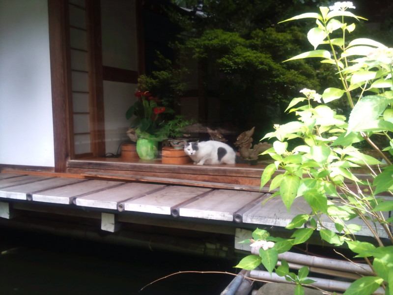 长野温泉酒店推荐 历史之宿 金具屋 手机马蜂窝