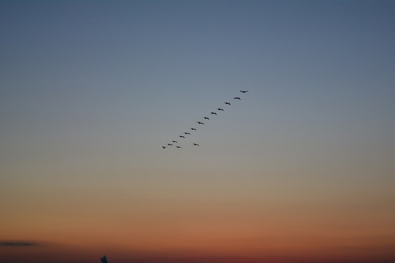 夕焼けの画像