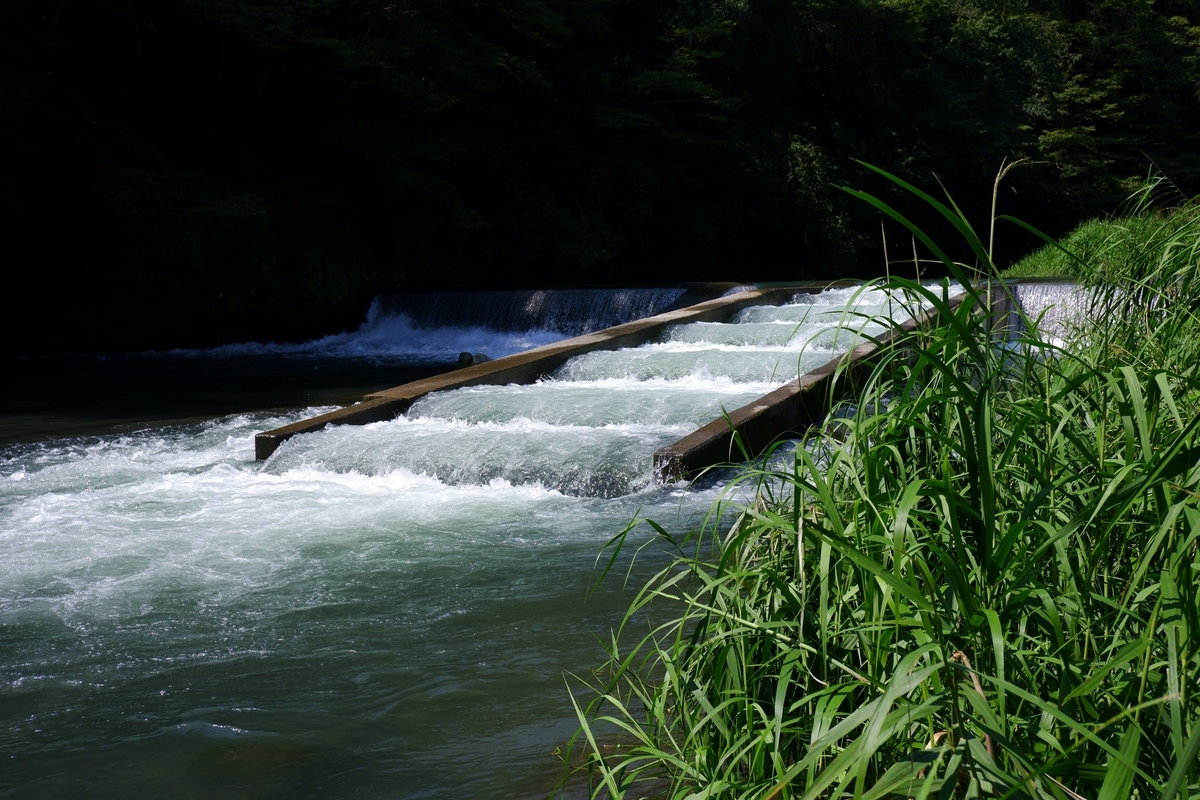 f:id:k_misaki:20190919231749j:plain f:id:k_misaki:20190919231749j:plain