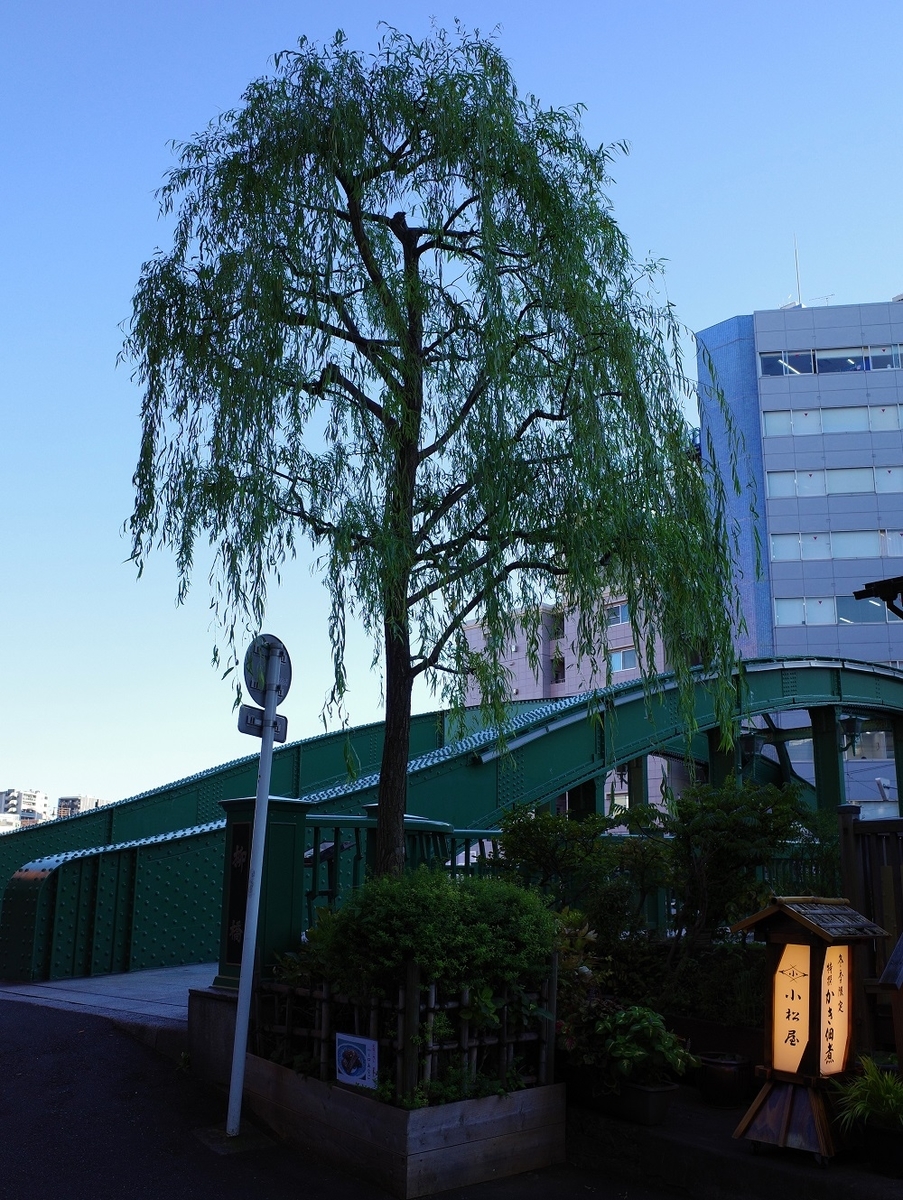 f:id:k_misaki:20211116223340j:plain