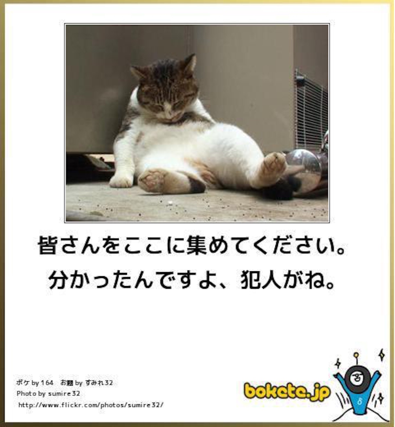 f:id:k_nali:20160611200941j:image f:id:k_nali:20160611200941j:image