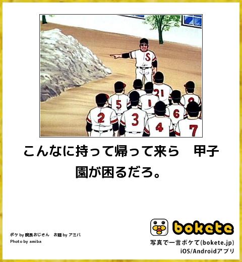 f:id:k_nali:20161225100515j:plain f:id:k_nali:20161225100515j:plain