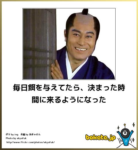 f:id:k_nali:20170426185950j:plain f:id:k_nali:20170426185950j:plain