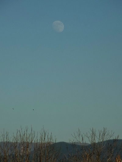 f:id:k_nobukiyo:20120107213801j:image f:id:k_nobukiyo:20120107213801j:image