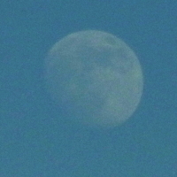 f:id:k_nobukiyo:20120107214244j:image:left