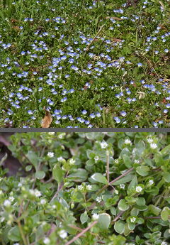 f:id:k_nobukiyo:20120315232140j:image:left f:id:k_nobukiyo:20120315232140j:image:left