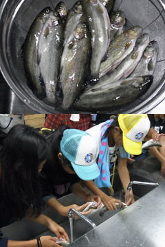 f:id:k_nobukiyo:20120821001129j:image:left