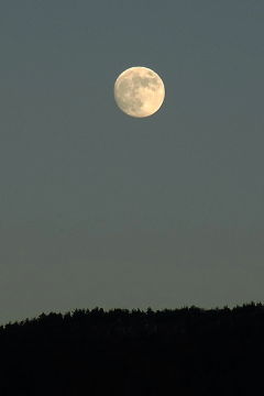f:id:k_nobukiyo:20121207214059j:image:left