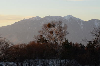 f:id:k_nobukiyo:20121214192013j:image