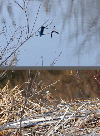 f:id:k_nobukiyo:20121218205301j:image:left