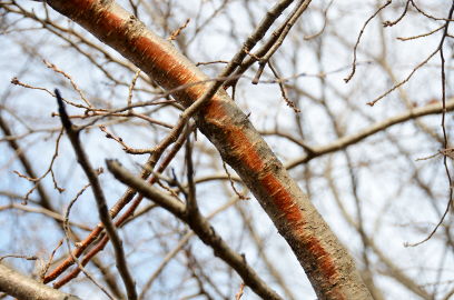 f:id:k_nobukiyo:20121230213116j:image