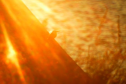 f:id:k_nobukiyo:20130111223358j:image
