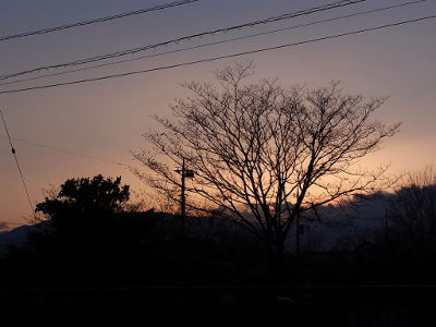 f:id:k_nobukiyo:20130305215548j:image