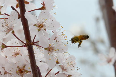 f:id:k_nobukiyo:20130320223807j:image