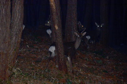 f:id:k_nobukiyo:20130414231931j:image f:id:k_nobukiyo:20130414231931j:image