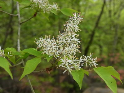 f:id:k_nobukiyo:20130423211506j:image