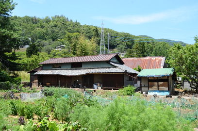 f:id:k_nobukiyo:20130721220609j:image