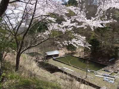 f:id:k_nobukiyo:20150430210914j:image