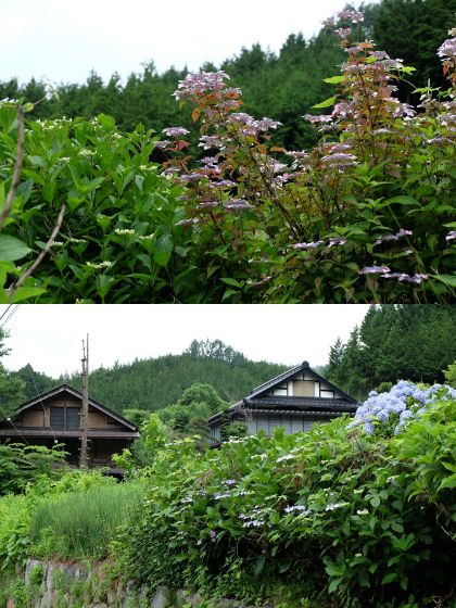 f:id:k_nobukiyo:20150711202624j:image