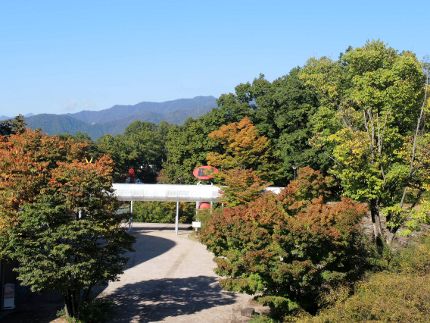 f:id:k_nobukiyo:20161028204145j:image