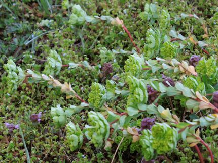 f:id:k_nobukiyo:20170421215540j:image