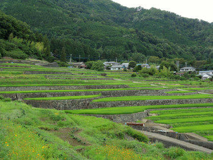 f:id:k_nobukiyo:20180714222843j:image