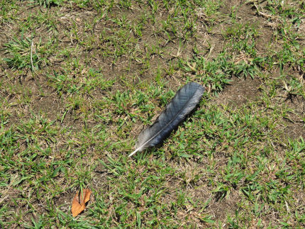 f:id:k_nobukiyo:20180801232611j:image f:id:k_nobukiyo:20180801232611j:image