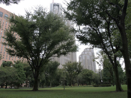 f:id:k_nobukiyo:20180907231233j:image