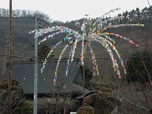f:id:k_nobukiyo:20190113220557j:image:left