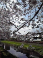 20100405082405